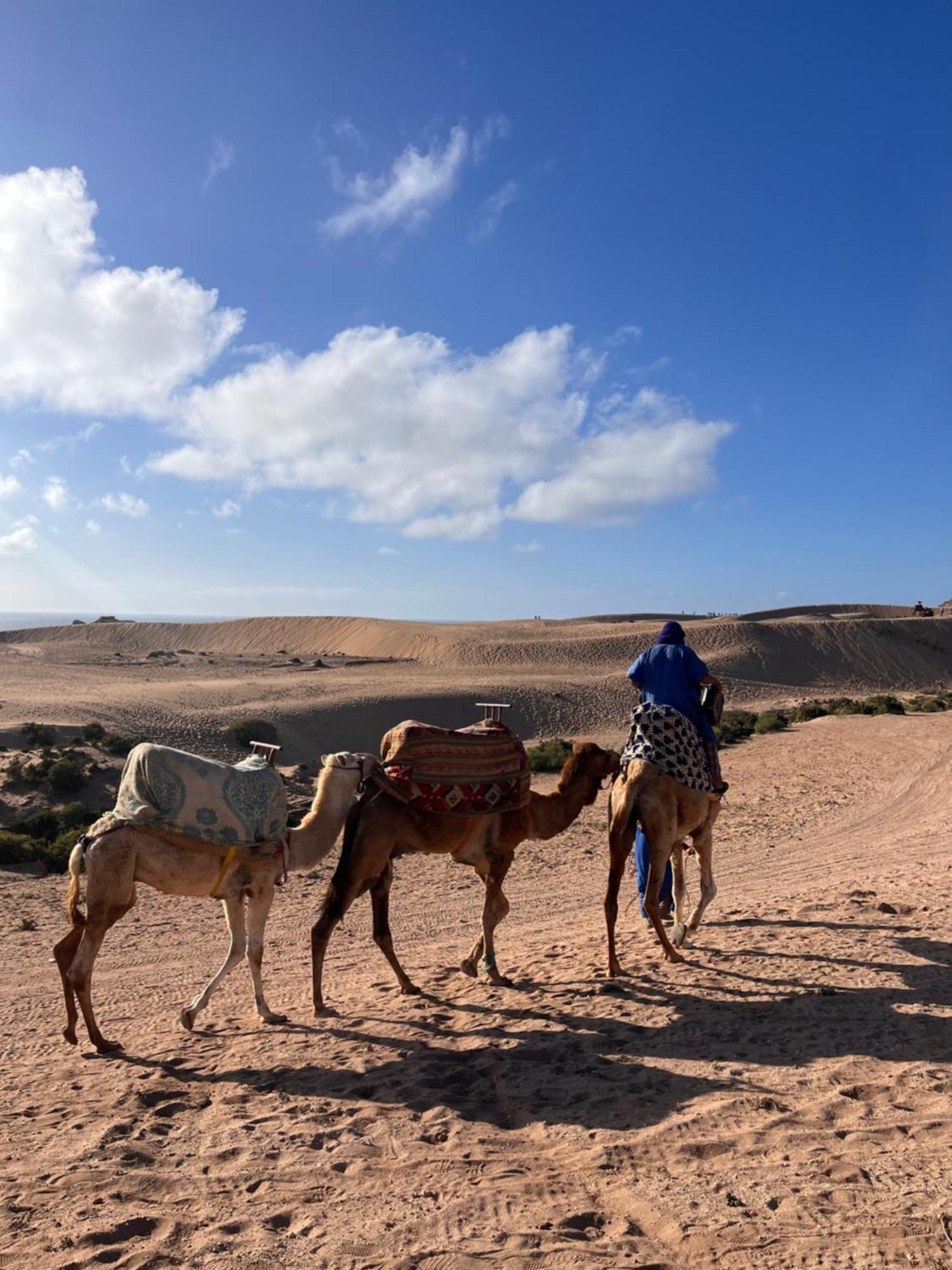 塔哈佐特 Nizar Surf Morocco旅舍 外观 照片
